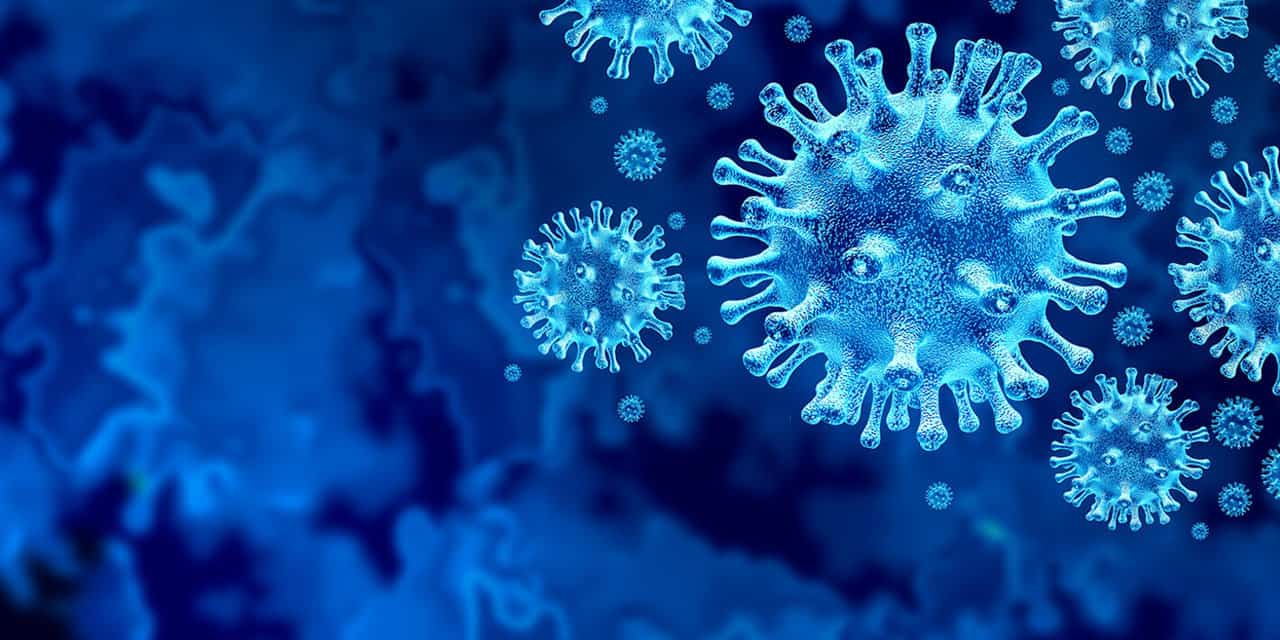 Novedades sobre corona virus