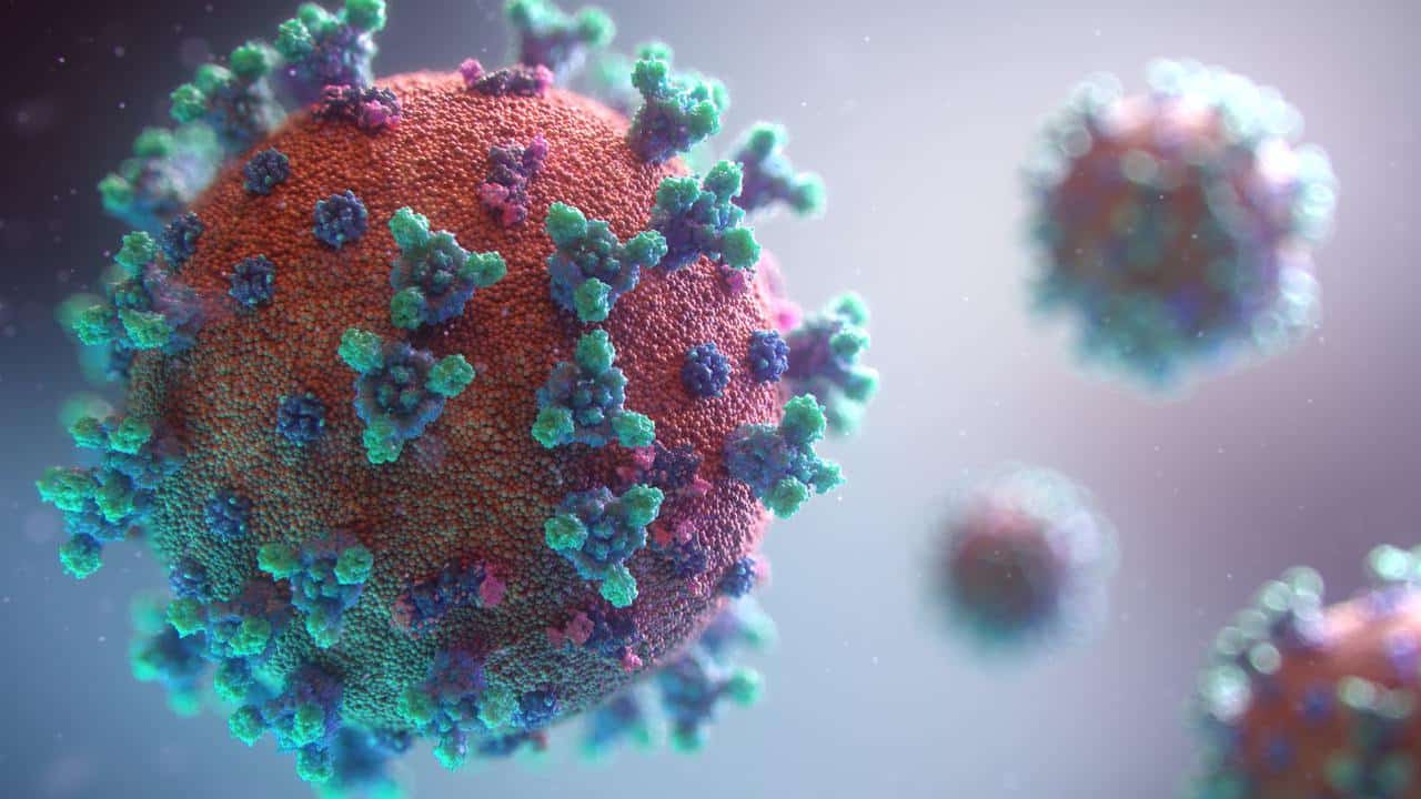 Coronavirus. 20A.EU1: advierten que una nueva variante se expande por Europa