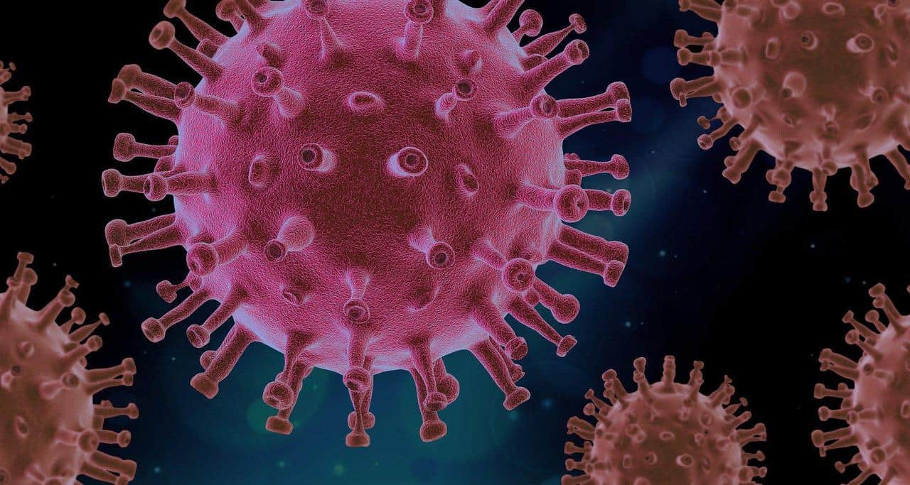 La inmunidad innata puede evitar el Covid, pero no suple el efecto de la vacunación