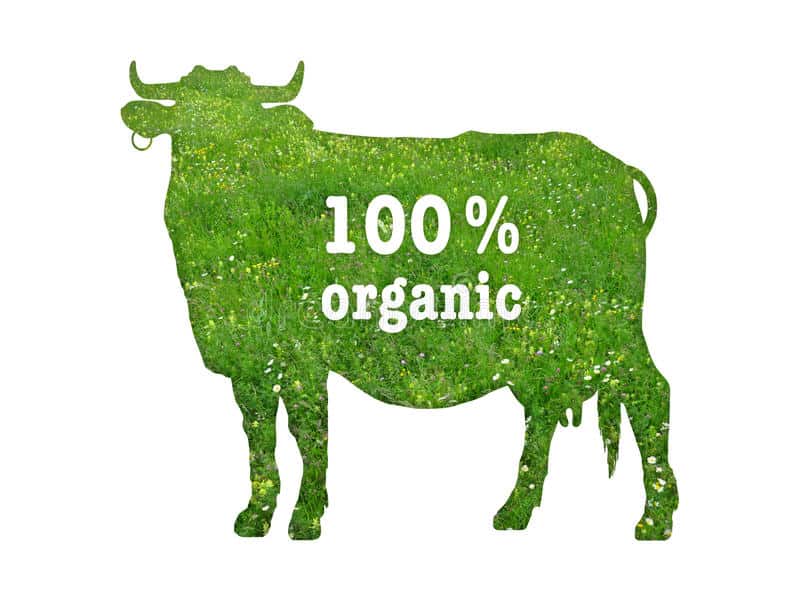 El futuro de los alimentos. Las carnes orgánicas avanzan en los campos