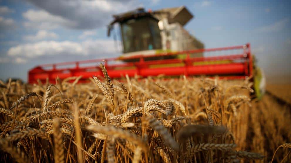 EEUU aprobó el trigo transgénico tolerante a la sequía que desarrolló una empresa rosarina