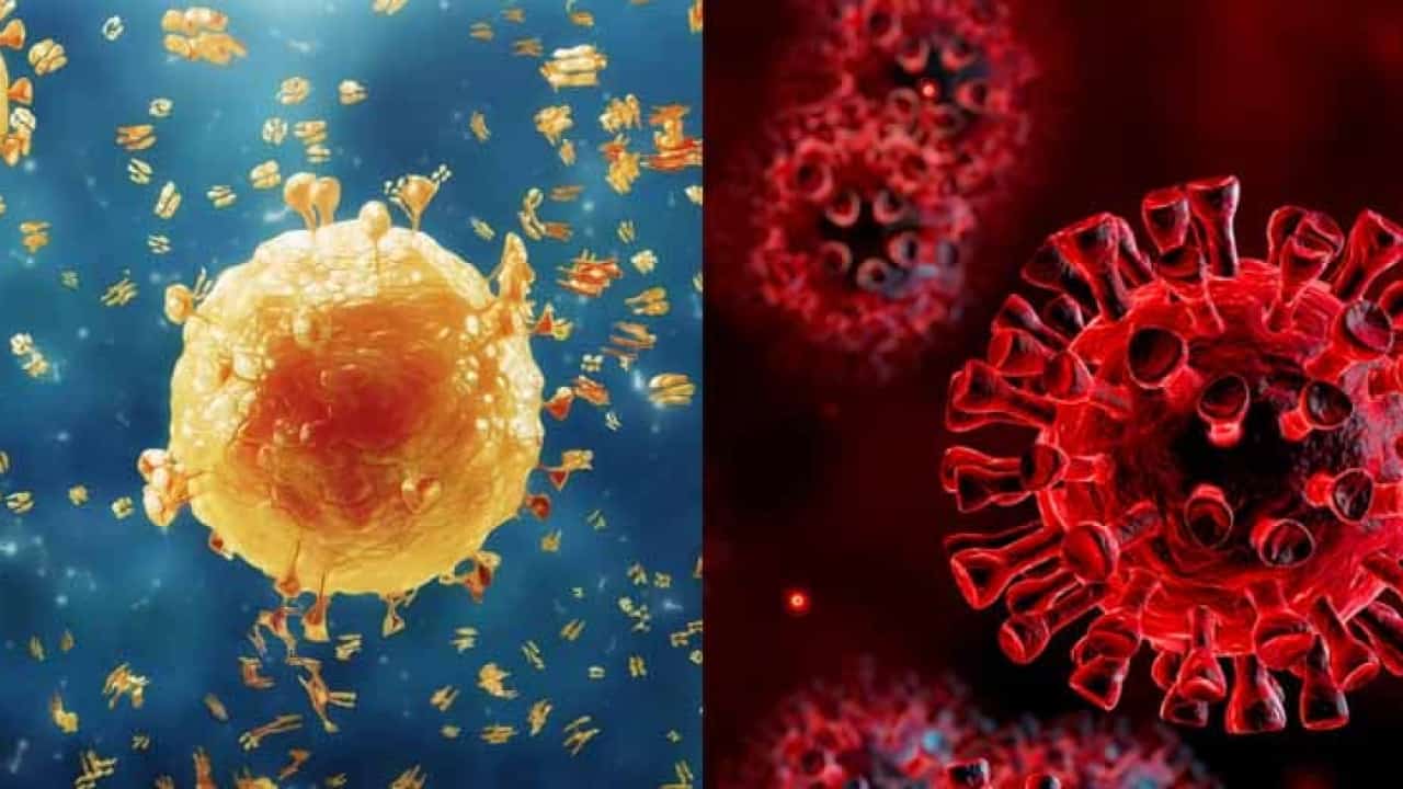 Las secuelas y las variantes, las grandes diferencias del coronavirus con la gripe