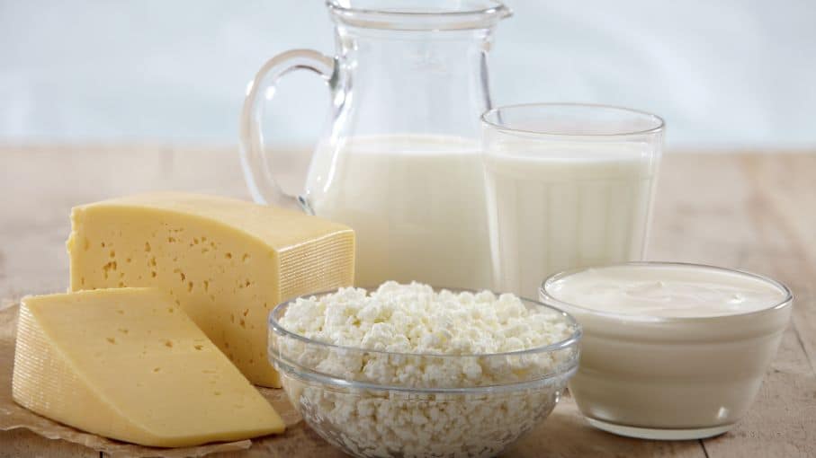Amplían el instituto científico que mejora los procesos de la leche y los quesos en Santa Fe