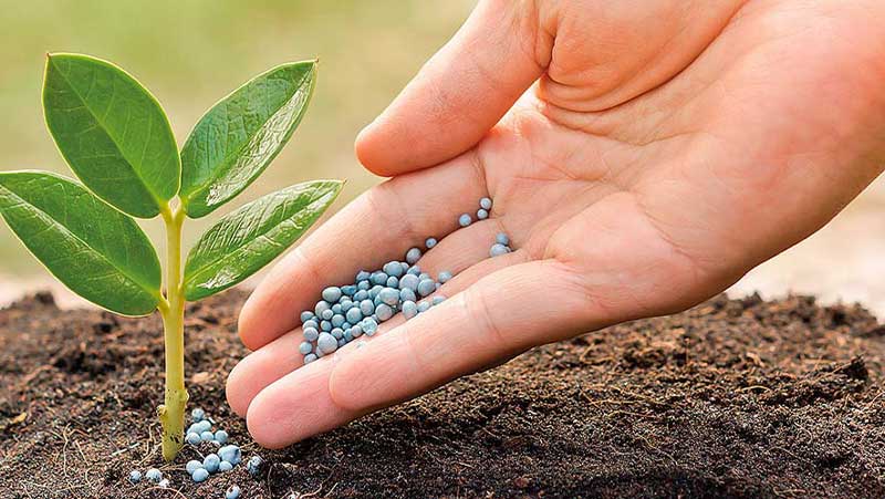 Destacan el papel de los fertilizantes en la seguridad alimentaria