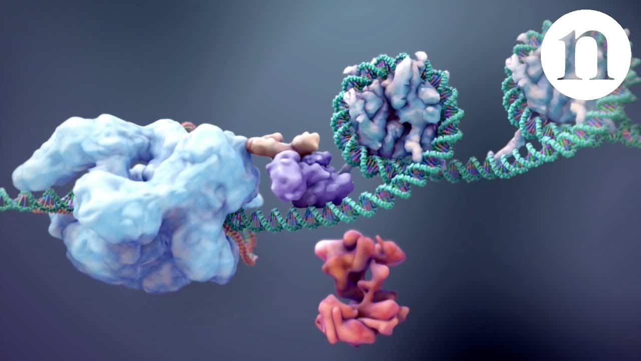 CRISPR cancer trial success paves the way for personalized treatments