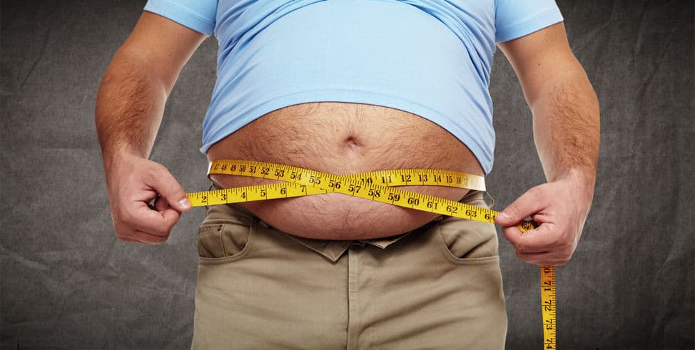 Modelos experimentales de obesidad, diabetes y síndrome metabólico inducidos por dietas: Desde el laboratorio a su extensión al humano