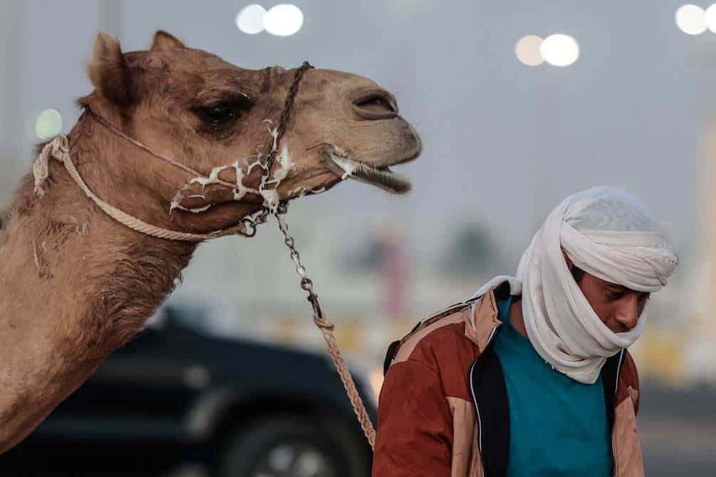 Precauciones por el virus del camello para los que llegan desde Qatar