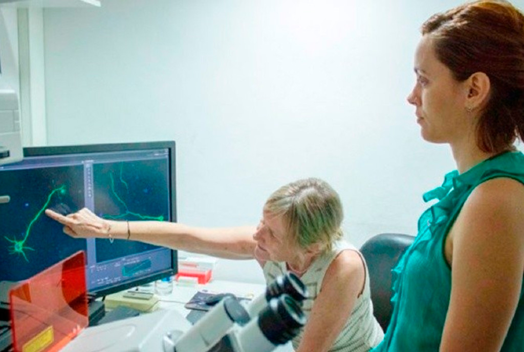 ¿Qué son los exosomas? Un hallazgo científico de investigadores de Conicet Rosario para frenar el Parkinson