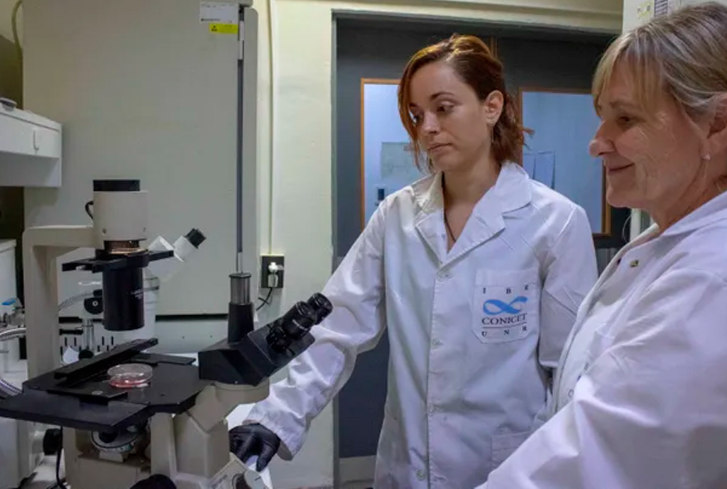 Parkinson: científicos rosarinos avanzan en el desarrollo de una terapia para controlar la enfermedad