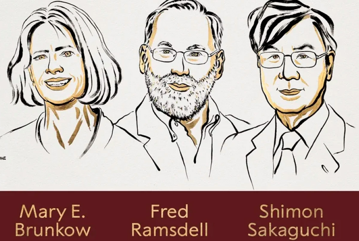 El Premio Nobel de Medicina fue para descubrimientos innovadores sobre la tolerancia inmunológica periférica