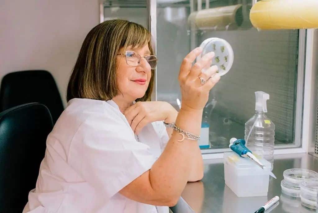 La científica santafesina Raquel Chan recibió un premio internacional por el gen tolerante a sequía